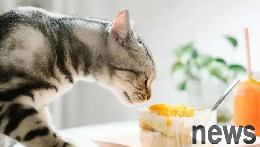 Cat Guard | Beware! The top ten taboo foods for cats, tips for shoveling cats!