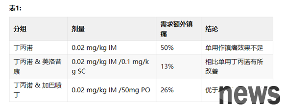 Apply gabapentin in cats – ensure the correct dose
