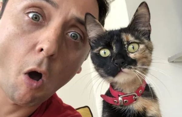Can cats really understand human words? Check out the mysterious communication between cats and humans