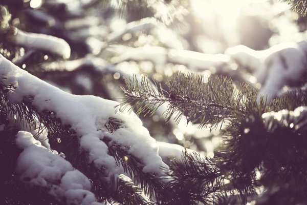 The second day in winter! The temperature of the small cold has greatly changed. The dietary principle is to strengthen the spleen and stomach, nourish the lungs and kidneys.