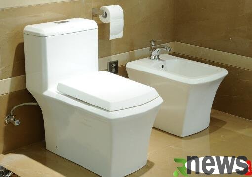 How to use toilet dredger? Tips for toilet clearance