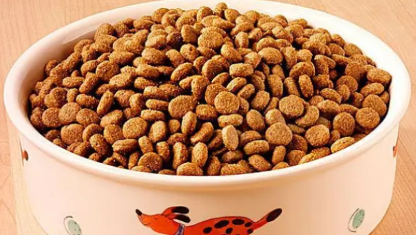 How long does it take to soak dog food? What should I do if my dog food is not soft?