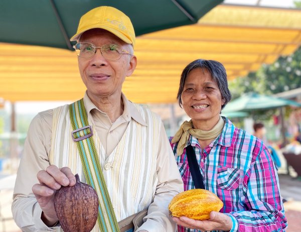 Zhu Huifang/Is it OK to make your own chocolate?