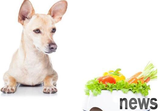 Those who keep pets should pay attention: feeding these ingredients for a long time will cause the dog s body to 