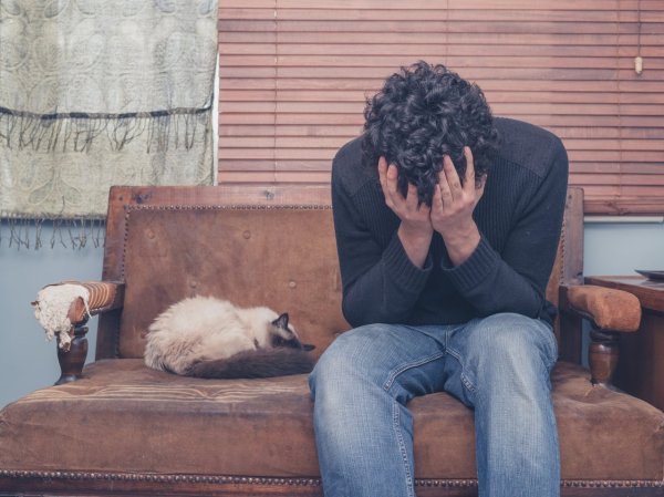Why are some people particularly prone to being cheated? Psychologists point out three common phenomena of the person being cheated