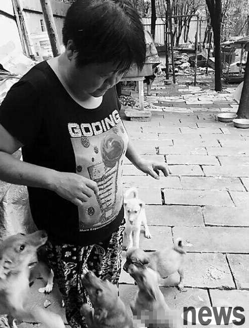The woman adopted more than 200 abandoned stray cats and dogs by herself for 21 years.