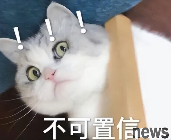 A 5-year-old boy rescued hundreds of cats. No matter how fierce a cat is, he will become obedient when he sees him...