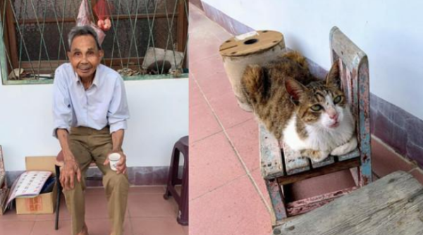 Grandpa sneaked out to find his wife, but fortunately, the 15-year-old cat accompanied him all the way and escorted him home