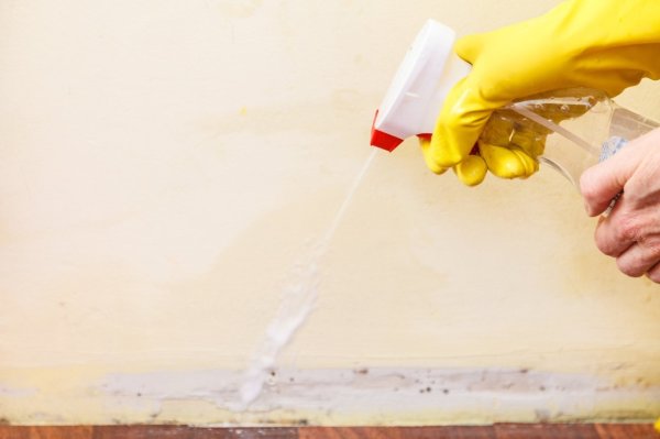 The smooth pink dirt in the bathroom is not germs! Experts reveal the true face of 