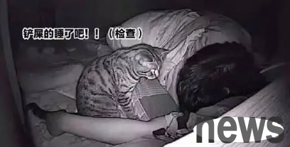 Finally, I took a picture of the cat s misconduct against me, which was both annoying and ridiculous!