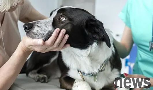 Do you still need internal drive after using Big Pampering? This article tells you