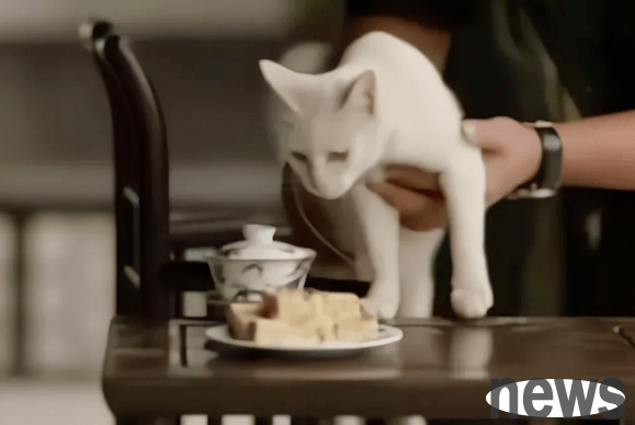 Lao Xie once again exposed the evidence, and the crew of 