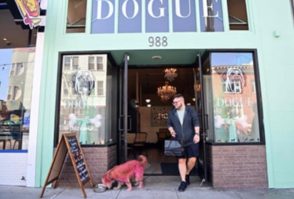 San Francisco chef launches dog restaurant where dogs can enjoy a meal for $75