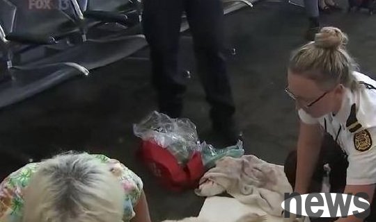 A guide dog suddenly lay on the ground at the airport and stopped walking, attracting many passers-by to watch. Netizens said: It’s so spectacular.