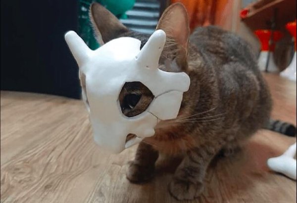 Netizens made masks for cats. When worn, they look like Digimon evolved. They look so similar.