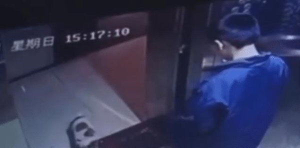 Boy hangs pet dog in elevator, causing public outrage, but parents blame property management for exposing video